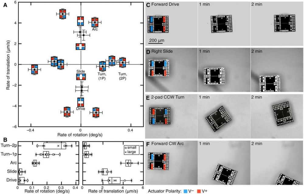 Автономные микророботы размером с бактерию — инженерия на грани видимого
