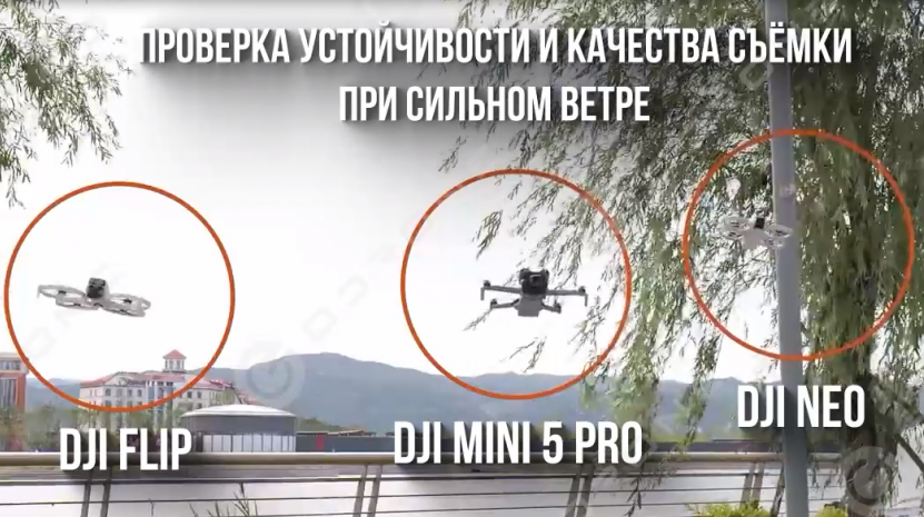 Тестирование дронов DJI в экстремальных условиях: проверка устойчивости DJI Flip, Mini 5 Pro и Neo при сильном ветре