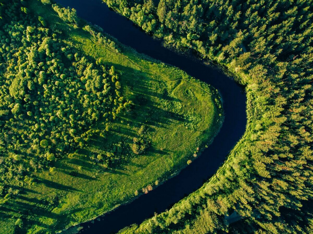 aerial-view-of-the-forest-river-in-summer-landscape.jpg